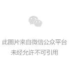 微信图片_20240921141615