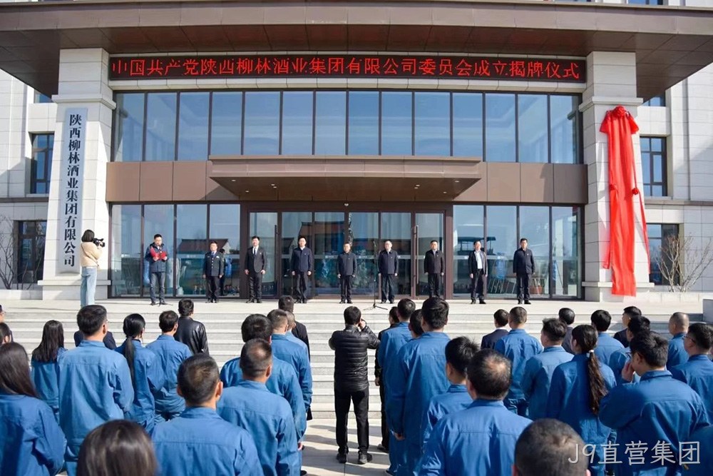 风劲帆满启新程 党建引领谱新篇 |中共J9直营集团委员会成立
